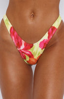 Belmont Bottoms Tropical Bloom