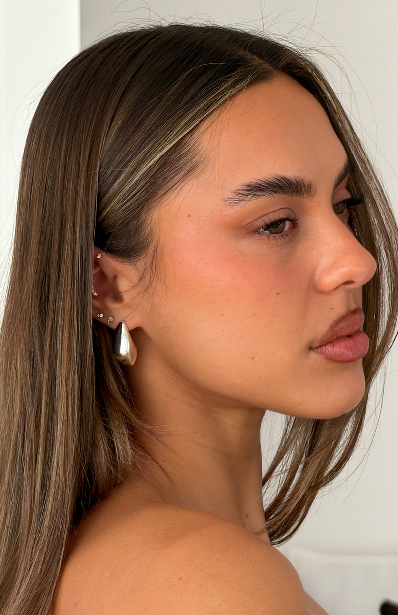 Wilson Earrings Silver